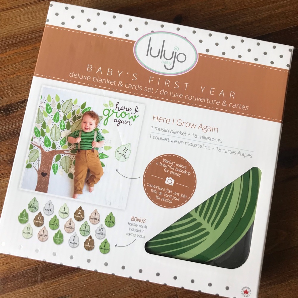 Baby’s 1st Year Photo Prop